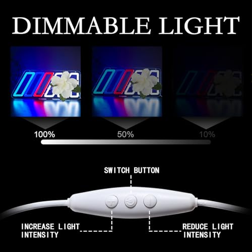 Image of Car Neon Sign for Wall Decor Dimmable Led Neon Light Up Sign for Garage、Bedroom、Playroom、Car Repair Shop、 Christmas and Birthday Gifts