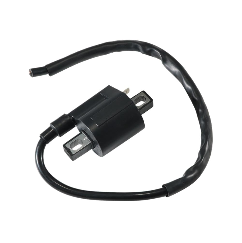 Bobine d'allumage Compatible With Suzuki LT-F160 LT160 LTF250