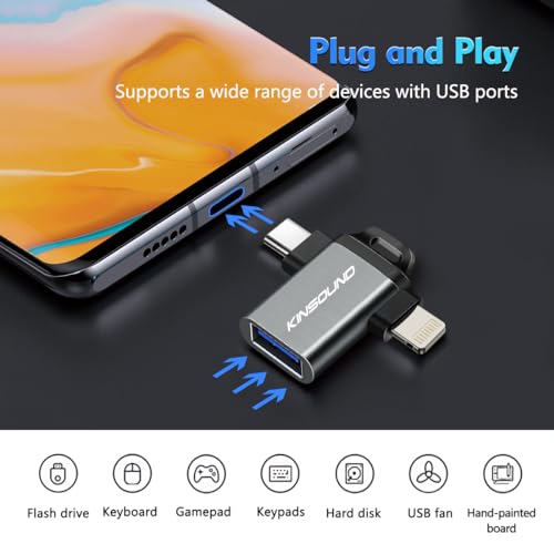 Image of Kinsound USB OTG (Grey 2 in 1 OTG Adapter)