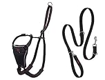 Halti No Pull Harness & Halti Training Leash Size Large, Black Combination Pack - Stop Your Dog Pulling on the Leash. Adjustable, Lightweight and Easy to Use. Suitable for Large Dogs