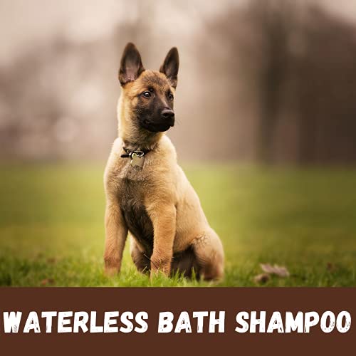 Image of Bio-Groom Water-Less Bath Dog and Cat Shampoo No Cleaning or Wiping with Water Use Anywhere- Anytime Cruelty-Free - Soap Free 100% Biodegradable Formulated for Those Last-Minute Touch-Ups, 235ml | No-rinse shampoo for quick and gentle pet grooming.