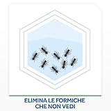 Baygon B00CSM6FN4 lato 4