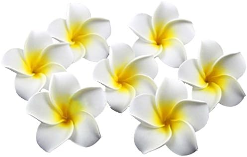 GOEGE 100 Pcs Diameter 2.4 Inch Artificial Plumeria Rubra Hawaiian Flower Petals for Wedding Party Decoration