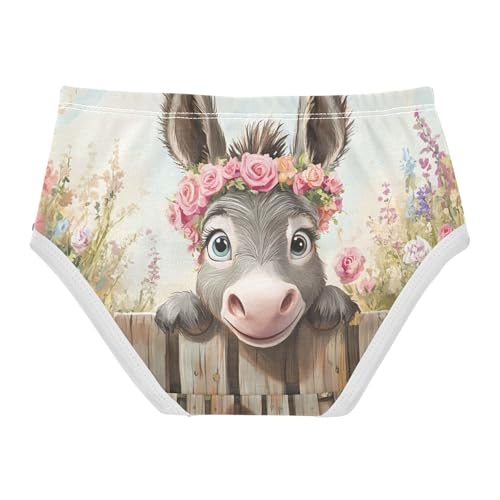 Funny Donkey Fence Toddler Girls's Underwear 2T 202c10202
