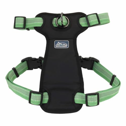 Coastal - K-9 Explorer - Brights Reflective Front-Connect Harness, Meadow, 1" x 20"-30"