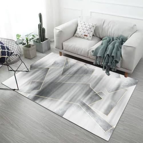 Tapis de salon géométrique abstrait lavable et antidérapant gris