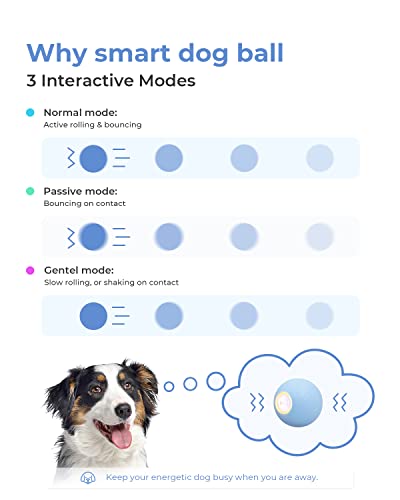 Cheerble Smart Interactive Dog Toy, Automatic Moving Bouncing Ball, Active Rolling Ball For Small Breeds Dogs Puppies Boredom, Peppy Pet Ball, Wicked Ball Se, Blue #TOP2