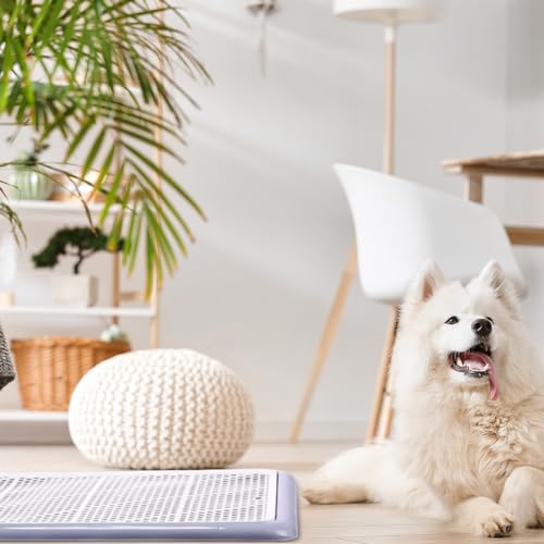 Image of Mifoci 1 Pcs Dog Potty Tray Mesh Puppy Training Pad Holder Floor Protection Portable Pee Pad Pet Toilet Training Tray Litter Box Corner for Medium and Large Dogs (25.6 x 18.9 Inch,Gray)