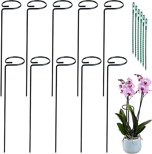 MYUOOT Pflanzenstützstäbe mit einem Stängel Cover