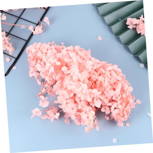 Pétalos secos naturales Hydrangea rosa para decoración miniatura 6