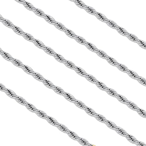 FaithHeart Stainless Steel Chains for Men, Silver/Black/14K Gold Plated Snake/Wheat/Box/Rope/Rolo Chain Necklace 16-30 Inches with Delicate Gift Box Length 18 Inches 03. Rope Chain-Silver