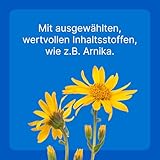 Traumeel LT ad us. vet. 250 Tabletten | Natürliches Tierarzneimittel für Hunde, Katzen, Pferde, Rinder, Schweine, Schafe und Ziegen | Made in Germany
