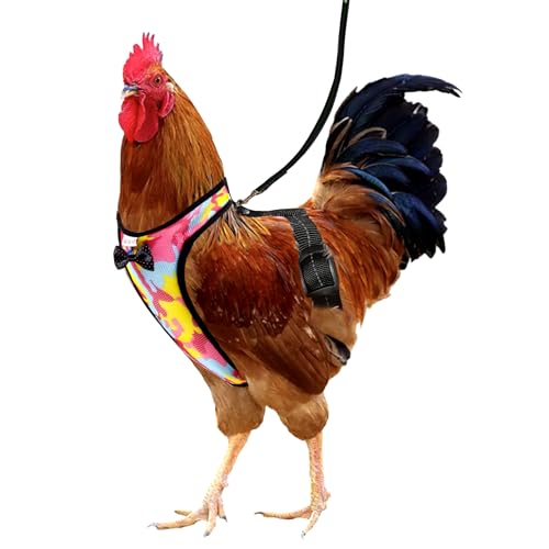 Yesito Arnés de gallina con...
