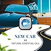SCENTORINI Car Air Freshener, Vent Clip, New Car Smell for Men, Cars Perfume, Cars Essentials for women, 2 Fragranc - Sea Breeze & New Car, 6 Pack #1