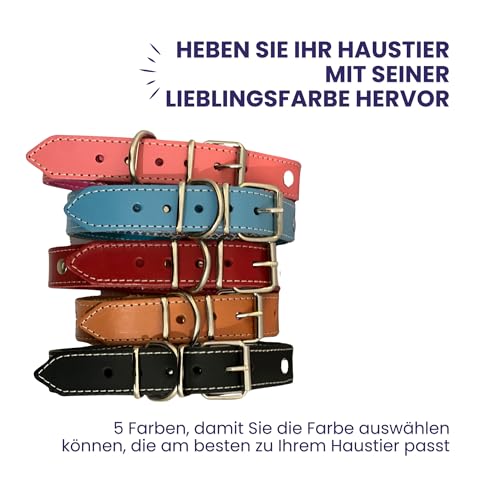 TUYNEC - Hundehalsband Leder mit Schutznetz für Flohhalsband Hunde, Hundehalsband das schützt und die Lebensdauer des Zeckenhalsbands für Hunde verlänger