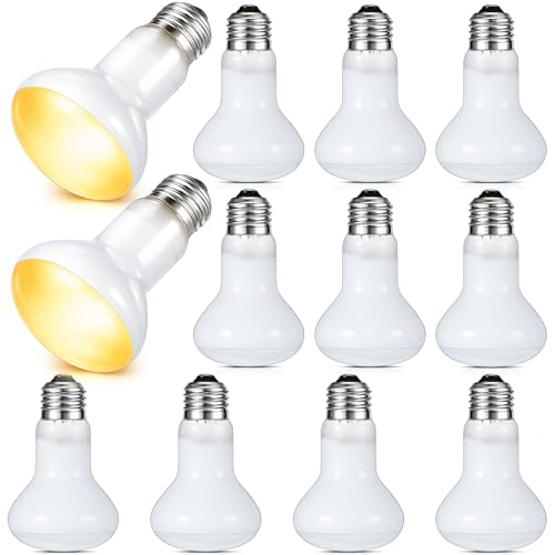 Image of VIHOSE 12 Pack 100 W Reptile Heat Bulbs White Heat Lamp Bulb White Lamp Basking Light Bulb for Reptile, Bearded Dragon, Lizard, Tortoise, Chicken, Leopard Gecko, Amphibian, Pets