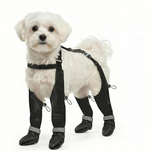 Dog Boots with Adjustable Suspenders Waterproof Anti-Slip Paw Protection for Small Middle Large Dogs Shoes Leggings Winter Snow Rain Hiking Black 4 Pack (M)