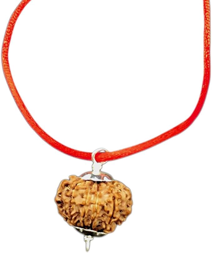 Rudraksha 11 Mukhi pendentif argent pour la méditation