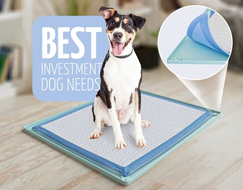 Image of TidyFriend 2 Pk Pee Pad Holder Tray for 30 inch x 23 inch Pee Pads with Corner Lock Holes, Raised Edges, Non-Spill, Easy to Clean Silicone Dog Potty Tray Holder, For Indoor Floor Protection (Turquoise)