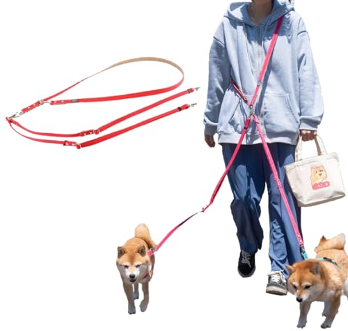 QV_[[h ܂Ȃ  ^ ^ |  p[h 킢  v Č { ̎։Ăׂ ([YsN)