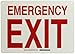 Brady 90495 10" Height, 14" Width, B-347 BradyGlo Plastic Red On Green Color Glow-In-The-Dark Exit And Directional Sign, Legend "Emergency Exit"
