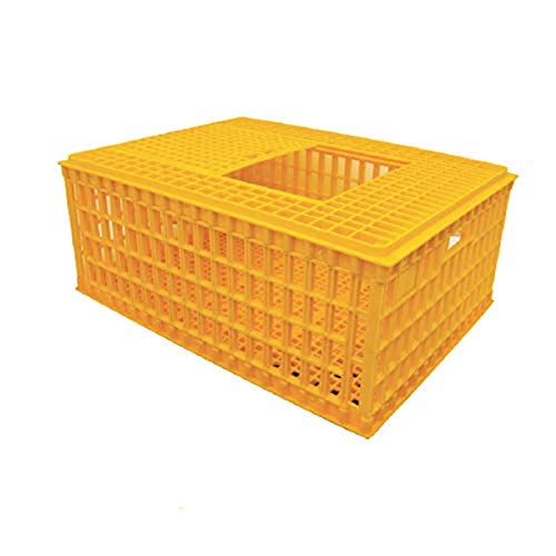 Economy Transport Coop 30.3" X 21.7" X 13"