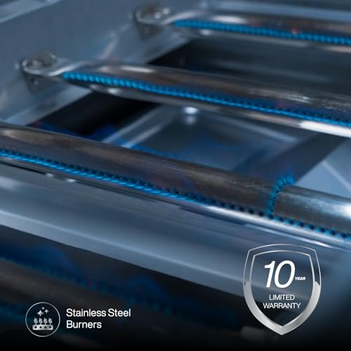 Spire Premium 6-Burner Built-In Grill Head