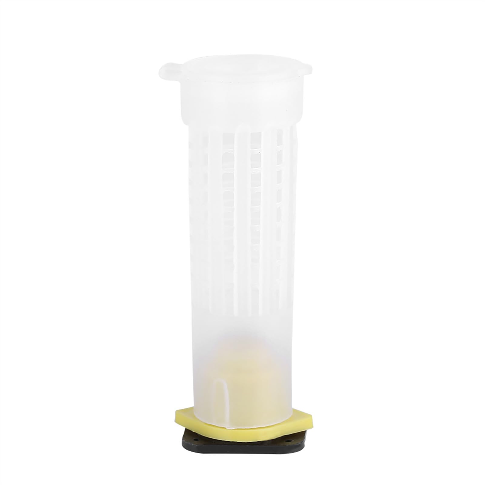 Acouto 100 Pezzi Kit Tazza per Allevamento Apicoltura Gabbie per Api Rullo Attrezzatura per Attrezzi per Apicoltore Gabbie a Rulli Complete per Apicoltura Tazza per Allevamento ApicolturaGabbie per