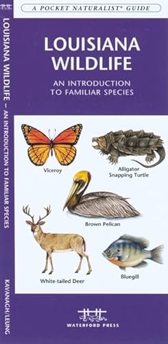 Louisiana Wildlife: A Folding Pocket Guide to Familiar Animals (Wildlife and Nature Identification)