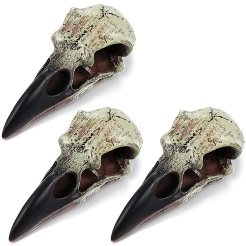 Figuritas góticas de calavera de cuervo 3 pcs decoración hogar
