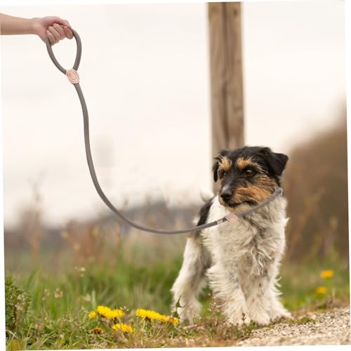 ASAKKURA iCp[h yʏvňh~ [vt nYΉ OU g[jO ^ ^pRΐF