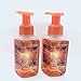 Bath & Body Works Sweet Cinnamon Pumpkin Gentle Foaming Hand Soap (2-Pack)