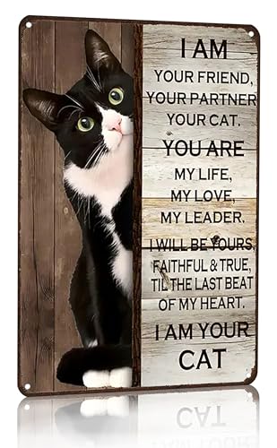 Crazysign - Letrero de metal vintage divertido para amantes de los gatos, regalo para amantes de los gatos, para el hogar, dormitorio, sala de estar, decoración de pared, 8 x 12 pulgadas (3056)