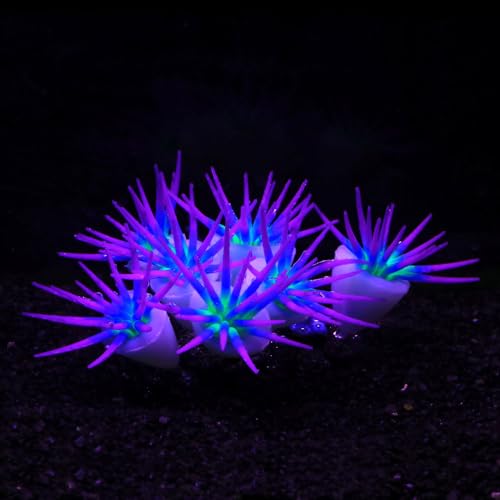Image of ZtohPyo Glowing Effect Fish Tank Aquarium Decorations, Artificial Silicone Plants Ornaments for Fish Tank Landscape Decor Glow in The Dark Soft Anemone for Small Aquarium Decoration (Purple Anemone)