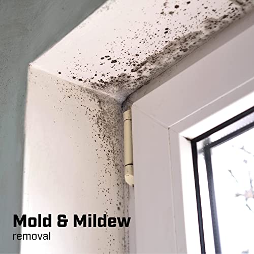 Chapin International 20075 Disinfectant Bleach Sprayer, 1 Gallon, Translucent White #TOP6