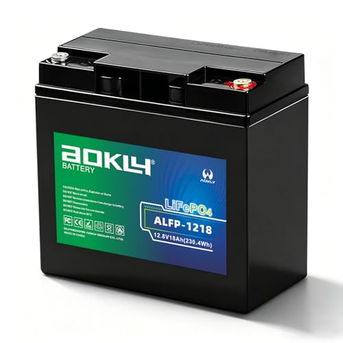 AOKLY 12V 18Ah LiFePO4 Lithium Battery 18A BMS 4000 Cycles 4.9lbs for UPS/RV/Marine