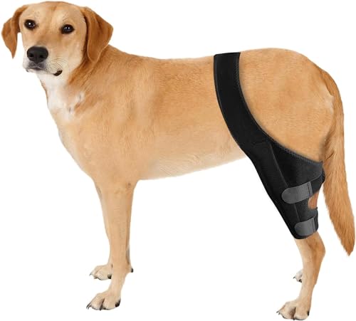 Image of JUANWAN Dog Knee Brace Leg Braces - Dog Canine Knee Stifle Brace Wrap Dog Knee Brace for Torn ACL Hind Leg Joint Pain Muscle Sore Pet Brace Reduces Pain and Inflammation (S), black