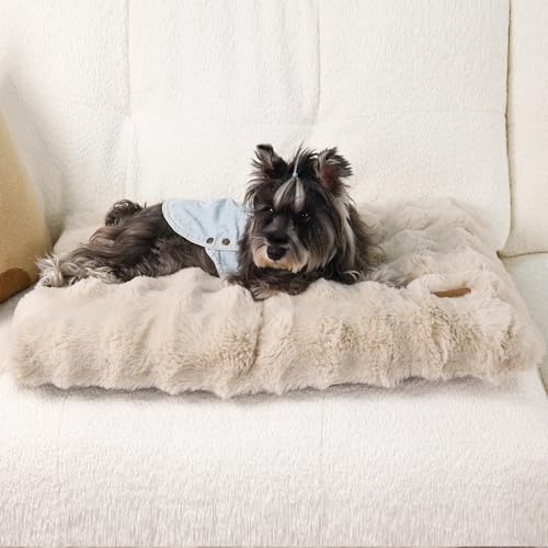 BingoPaw Hundebett mittelgroße Hunde waschbar: Hundekissen flauschig Hundematte für kleine Hund, wasserdicht Hundematratze mit abnehmbar Plüsch Bezug und rutschfest Unterseite, Beige, 76x51x10 cm