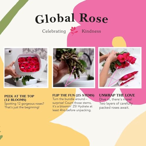 Globalrose Pink Roses- Fresh Flowers- 50 Lovely Stems thumb #7