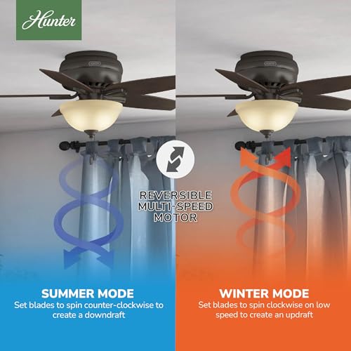 Image of Hunter Newsome, Indoor, Ceiling Fan, Pull Chain, 42 inch, Premier Bronze