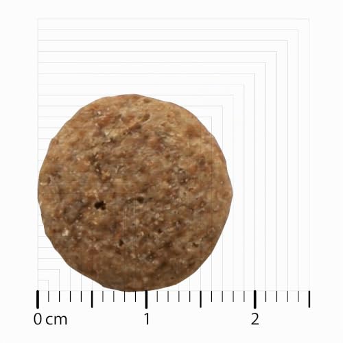 Bozita Hundefutter Original Adult Classic Huhn – 12 kg Trockenfutter für Hunde mit normalem Aktivitätsniveau – Ausgewogene, vollwertige Ernährung für gesunde und Vitale Erwachsene Hunde