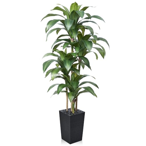 VeriNatural Artificial Dracaena Tree 6FT - Fake Tree with Black Taper Planter & Pebbles - UV...