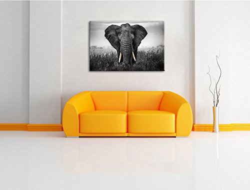 Toile éléphant noir et blanc Pixxprint 120x80 évocation de la nature sauvage - 3