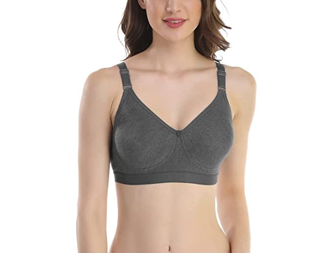 Image of SKDREAMS Blue & Brown & Purple-32D Cotton Blend Seamless Non Padded Non-Wired Full Coverage Pack of 3 Women T-Shirt Bra Combo