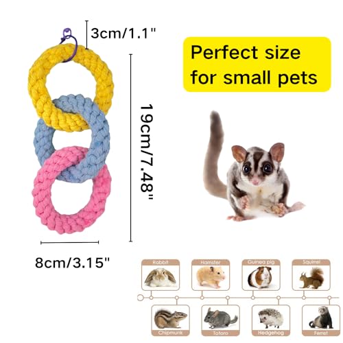 Image of 2 Pack Sugar Glider Hanging Three-Ring Climbing Toys Colorful Swing Toys, Sugar Glider Hamster Rats Toys, Cage Accessories for Sugar Glider Ferret Hamster Squirrel Chinchilla Parrots