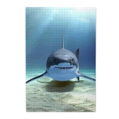 ؐs[X 1000s[X ۃT̎ʐ^2 WO\[pY lp eqpY qFBւ̃v[gɂł