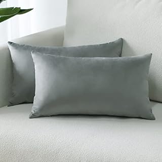Sungeek Pack of 2 Velvet Cushion Covers Soft Decorative Pillow Covers with Invisible Zipper Luxury Throw Pillow Cases for Home Decor Sofa Bedroom Living Room 30x50cm Black