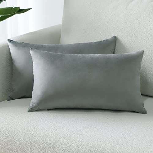 Sungeek Lot de 2 Housses de Coussin en Velours, Housse Coussins Decoratif Doux avec Fermeture éclair Invisible Taies d'oreiller de Luxe pour Canapé Lit Chaise Chambre Salon (30x50 cm, Gris Clair)