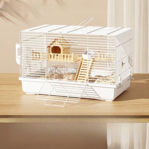 Emidor nX^[P[W P[W  ^ P[W ʋC 킢 gCfUC LXƂ v  |₷ w gݗĊȒP nX^[nEX Eɂ nX^[pZbg S[fxA (zCg,ς郍O