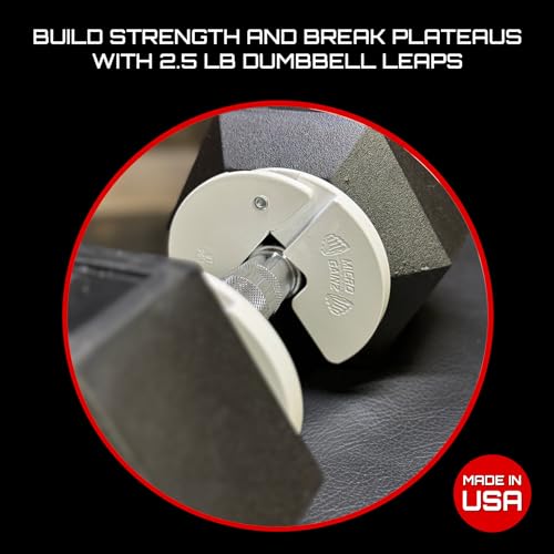 Image of Micro Gainz 1.25LB Dumbbell Fractional Weight Plates, 4-Piece